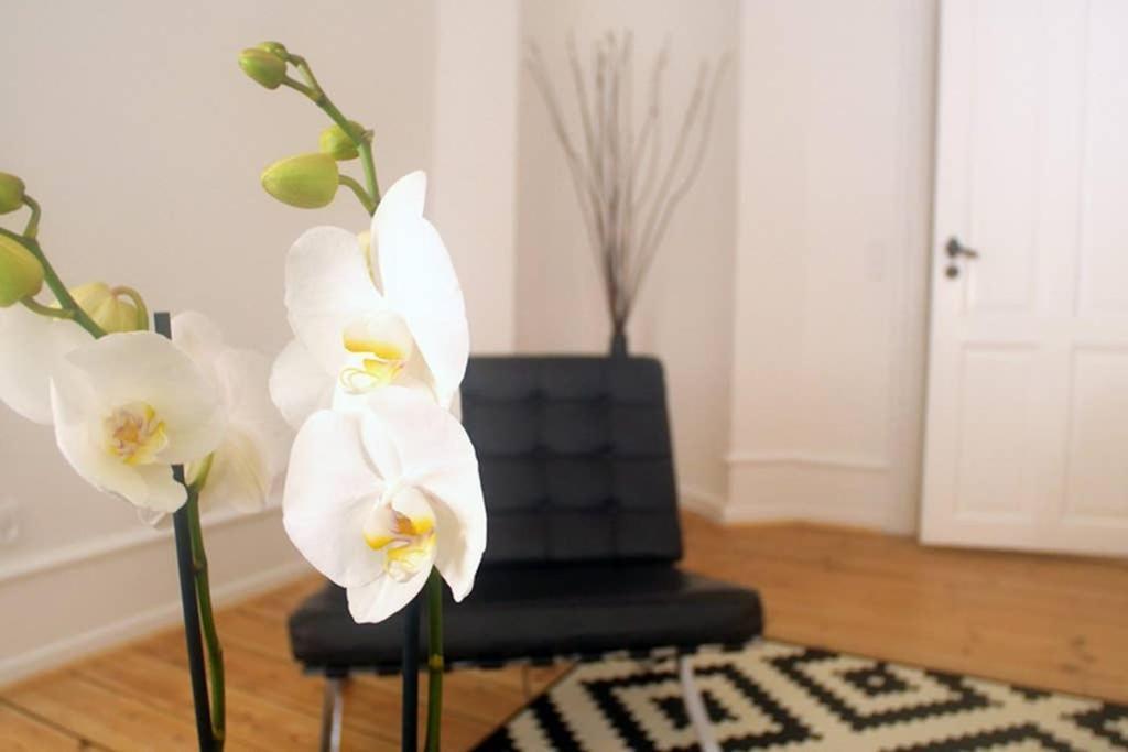 Next To New Harbor / 3 Bedroom & 2 Bath Rooms Copenhaga Exterior foto